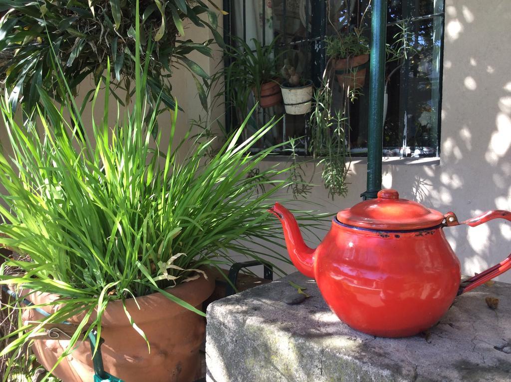 Casa Ruchi 1893 Bed and Breakfast Tigre Esterno foto